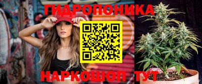 мет Моздок