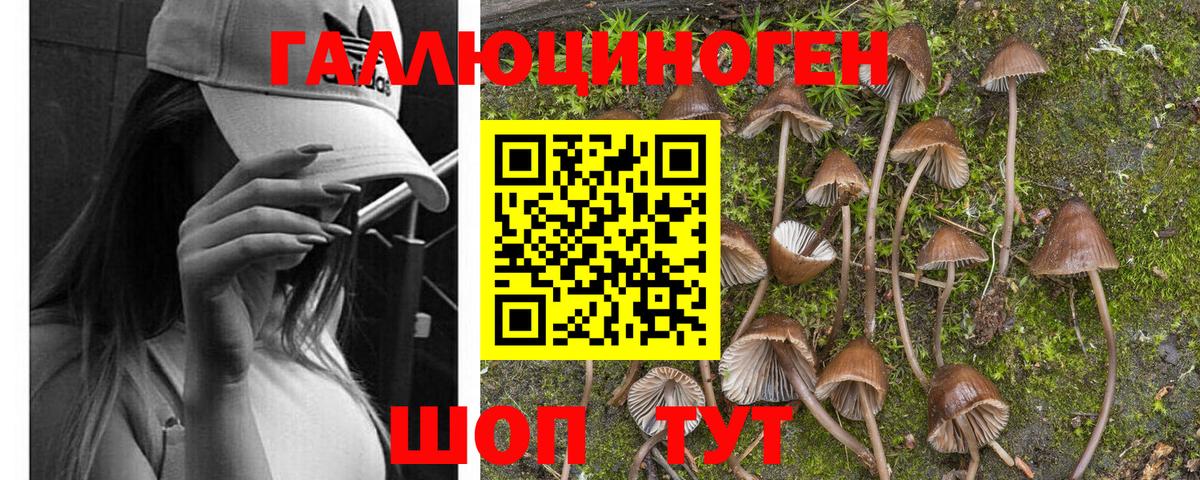 Галлюциногенные грибы мухоморы Фрязино