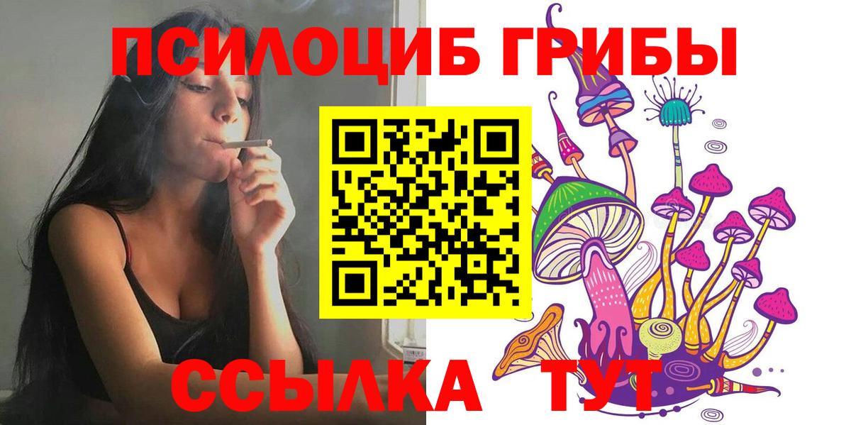 где можно купить наркотик  Псилоцибиновые грибы GOLDEN TEACHER  Вход с VPN  Галлюциногенные грибы Psilocybe  Фрязино 